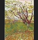 Cherry Tree by Vincent van Gogh